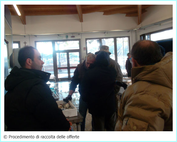 foto-14.jpg